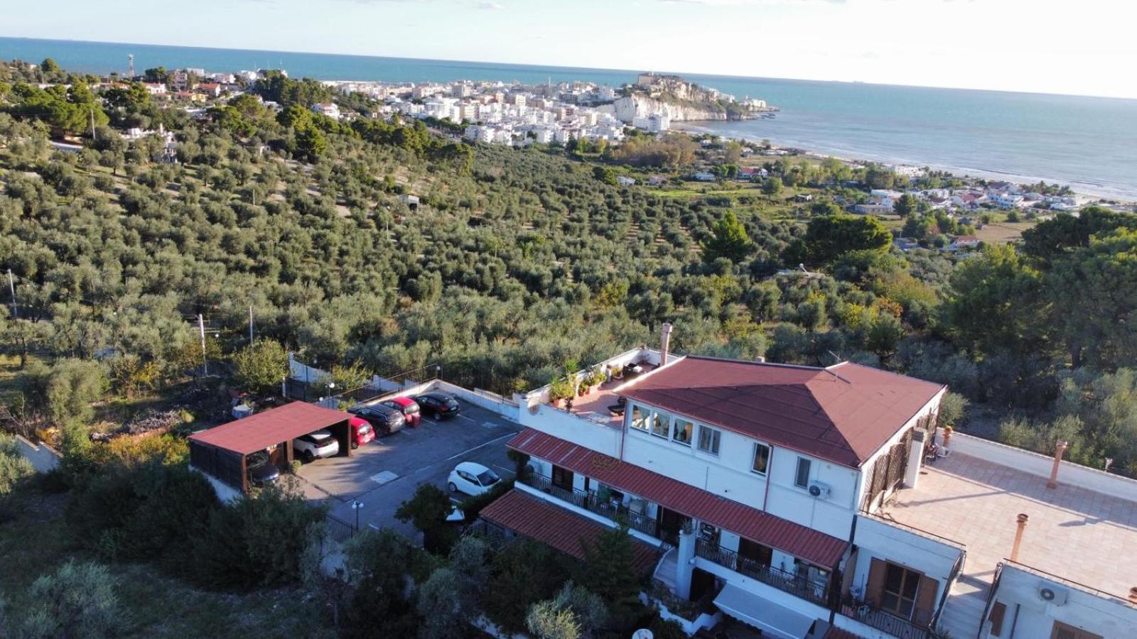 Dreaming Penthouse Apartamento Vieste Exterior foto